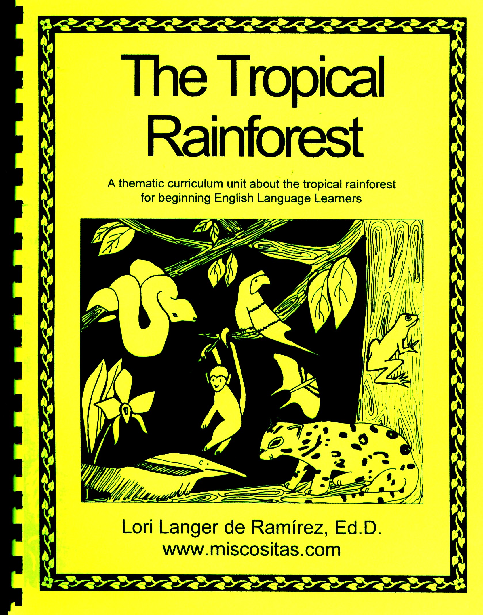 The Tropical Rainforest